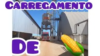 veja como é um carregamento de 🌽 na fazenda no silos !