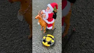 Ek number Remote Control Deer🦌testing | Animal Video