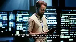 What Makes EMERALDWISDOM a Complete Digital Asset Hub?