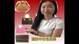 2024 我的中古包包合集介绍 --#lvbags #vinatge #prelovedbags #pradabag