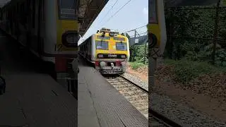 THE BRAND NEW Emu #emulocal #emu #localtrain