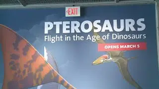New exhibit opens at GRPM