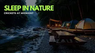 Sleep in Nature – Crickets at Midnight
