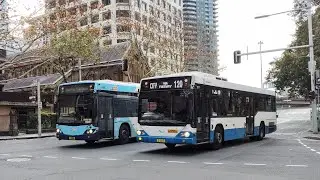 Buses at Lang Park Wynyard