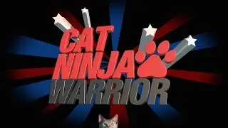 'Cat Ninja Warrior'