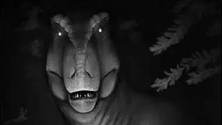 How Does Anyone Find That Funny? (Meme) FT: Rexy, Snock