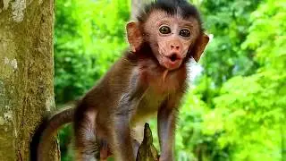 How adorable you are baby Daniela?
