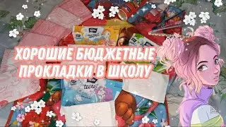 📚Советую хорошие бюджетные прокладки в школу📚🌸АЛИНА🌸