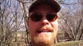 Kansas Turkey Hunting - Midday Gobblers; The Sweet Feed at RHR
