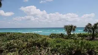 SOUTH FLORIDA|| Beautiful place||