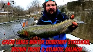 Great Lakes Winter Steelhead, Brown Trout & Atlantic Salmon Fishing