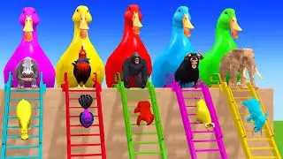 Long Slide Game With Cow Elephant Gorilla Hippopotamus Tiger 3d Animal Game Funny 3d Animals