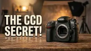 CCD vs CMOS Cameras — Why Old Digital Photos Still Feel Alive!