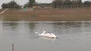 Drone Pelican 3:Landing on the water and back to the bank