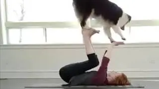 This is a dog you want to have !!😊😊