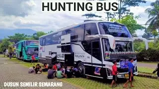 TUNGGAL JAYA BIKIN GEGER !! Hunting Bus di Dusun Semilir Bawen Semarang