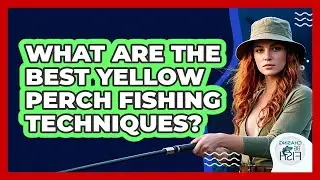 What Are The Best Yellow Perch Fishing Techniques? - Chasing Big Fish