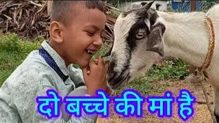 दो बच्चे की मां है 2025 #funny_video 📷 #video #songs #arman #bhojpuri #Rehan #comedy #new_song #song