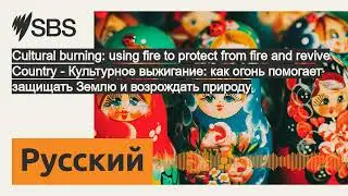 Cultural burning: using fire to protect from fire and revive Country - Культурное выжигание: как...