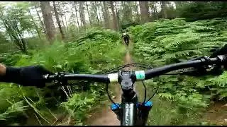 Yearlsy woods following Davey boi down (Hootananni)