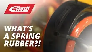 FAQ Jumat: Apa itu karet pegas?