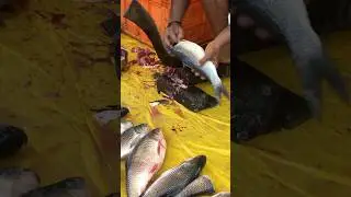 Amazing Rohu fish cutting #shorts #fish_cutting #fish_cutting_expert #viralvideo #short