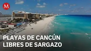 Gobierno de Canc&uacute;n anuncia que las playas est&aacute;n limpias de sargazo