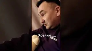 Хозяин