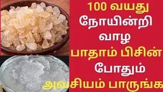 பாதாம் பிசின் சாப்பிடுவீங்களா?ரகசியம்!/Badam Pisin Health Benefits in Tamil/Health Tips in Tamil