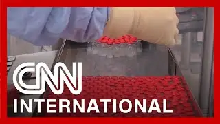 Cuba aims to produce its own Covid-19 vaccine