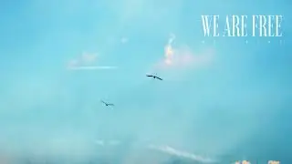 #83 We Are Free (Official)