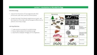 Lecture 1. Introduction to Microbial Ecology