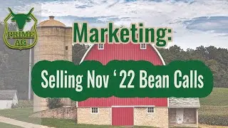 Selling Calls | Nov '22 Beans