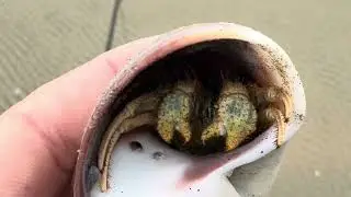 Moments while fishing 