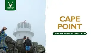 Cape Point | Table Mountain National Park #SANParks