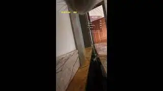 A Day in a Cat&rsquo;s Life &mdash; First-Person Live Experience 2026-01-12 18:01:37
