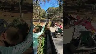 #treecuttingservice #treeservice #atlanta #wood #tree #viralvideo #foryou #usa