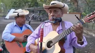 Los Jilgueros Del Pico Real - en Vivo : Soy de la Sierra Grande