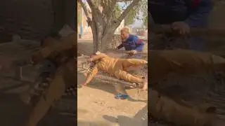 World wide viral video #funny #goldigarprank #pranks #comedy #gulfamgolden #funnyvideos #funnypranks