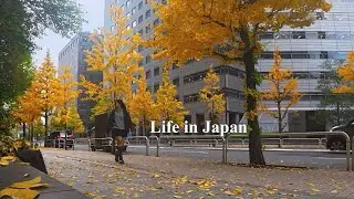 Living in Japan | rest day vlog, autumn, Christmas Market experience