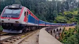 Arriving train at Nine Arch Bridge, Sri Lanka🇱🇰