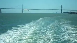Alcatraz cruise 1