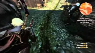 The Witcher 3: Novigrad, the closed city sidequest