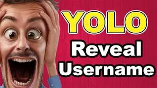 Reveal YOLO UserName | Reveal YOLO identity [Brand New Method] ✅