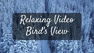 Relaxing Video - Bird's View (Aerial View) Music for 40 minutes