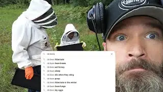 Beekeeper Answers The Most Googled Bee And Beekeeping Questions
