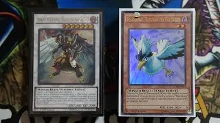 *YUGIOH* BEST! BLACKWING DECK PROFILE APRIL 11th 2016 BANLIST! + 3 CARD OTK COMBO! 8200 DMG!!