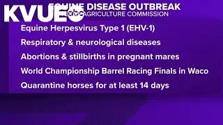 Deadly horse virus outbreak linked to Texas competition
