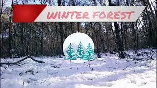 Serene Winter Forest Ambience | Just Relex &ndash; Healing by Nature❄️ 🌲 #nature #naturetranquility#asmr