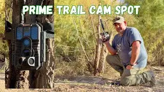 Camping In The New Mexico Desert: Checking out the 
